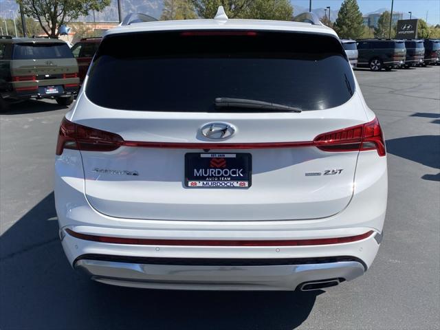 2023 hyundai santa fe calligraphy