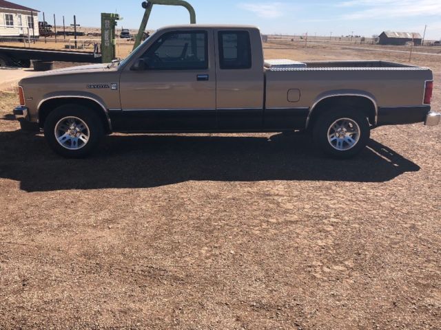 2010 dodge dakota