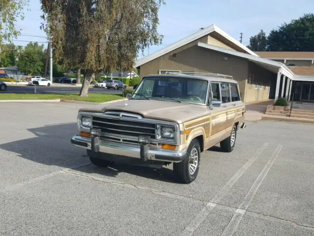 1990 jeep grand wagoneer original paint