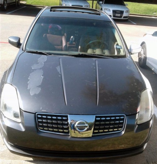2006 nissan maxima 3.5 sl for sale in texas by owner