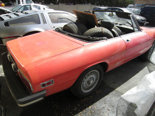 1978 alfa romeo spider