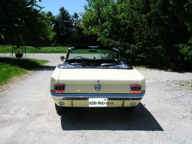 1966 ford mustang convertible, springtime yellow with black interior, white top