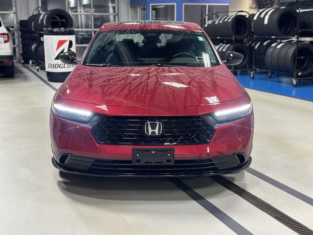 2024 honda accord hybrid