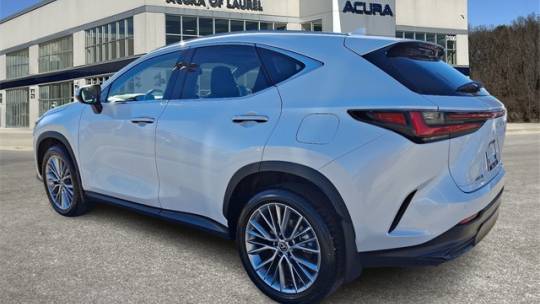 2024 Lexus NX