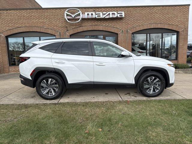 2024 hyundai tucson hybrid blue