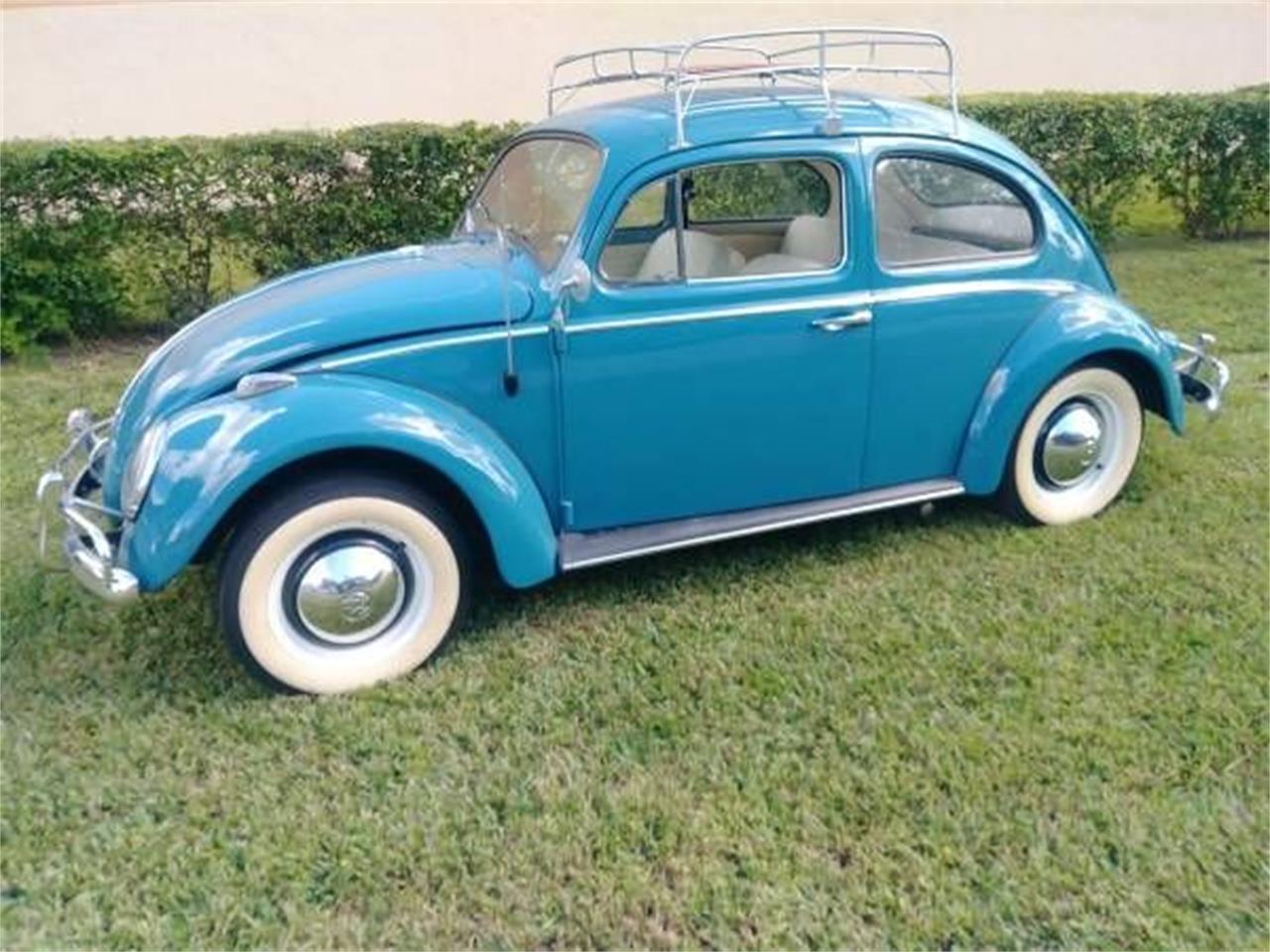 1961 volkswagen beetle