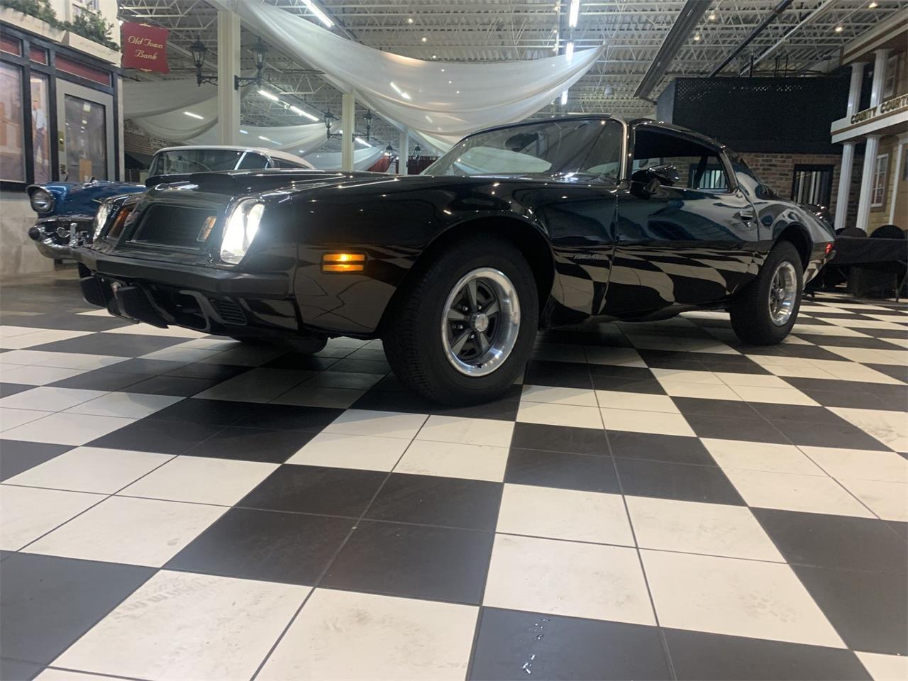 1975 pontiac firebird