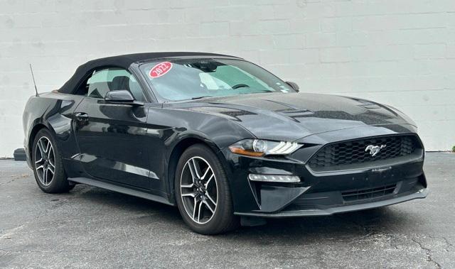 2022 ford mustang ecoboost