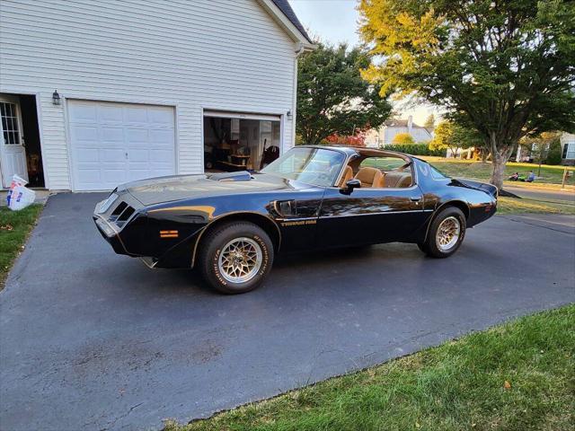 1979 pontiac firebird