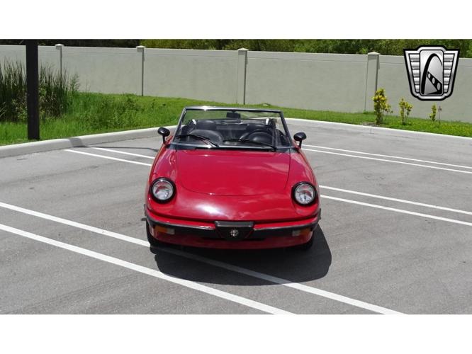 1986 alfa romeo spider in o'fallon, illinois