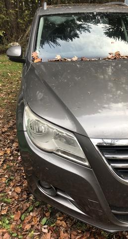 2010 volkswagen tiguan wolfsburg edition