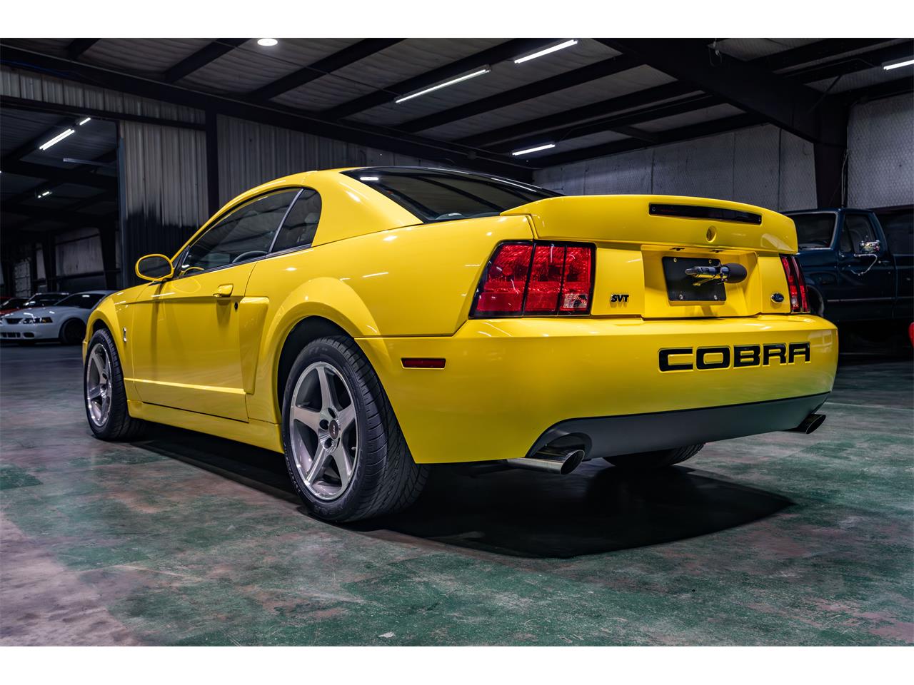 2003 ford mustang svt cobra