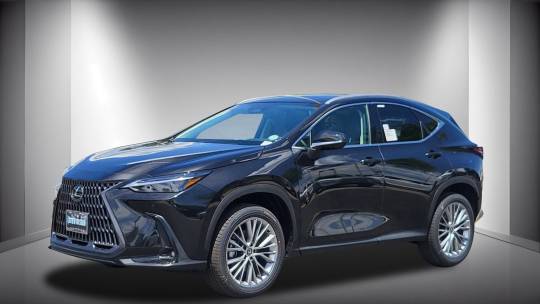 2025 Lexus NX