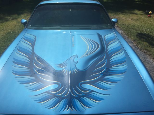 1980 pontiac firebird turbo trans am coupe 2-door 4.9l-301 blue t-tops