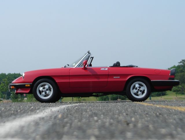 beautiful well sorted 1986 alfa romeo spider graduate - alfa red with black int