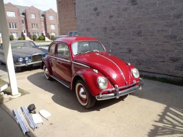 1963 red restored great condition classic beetle light project