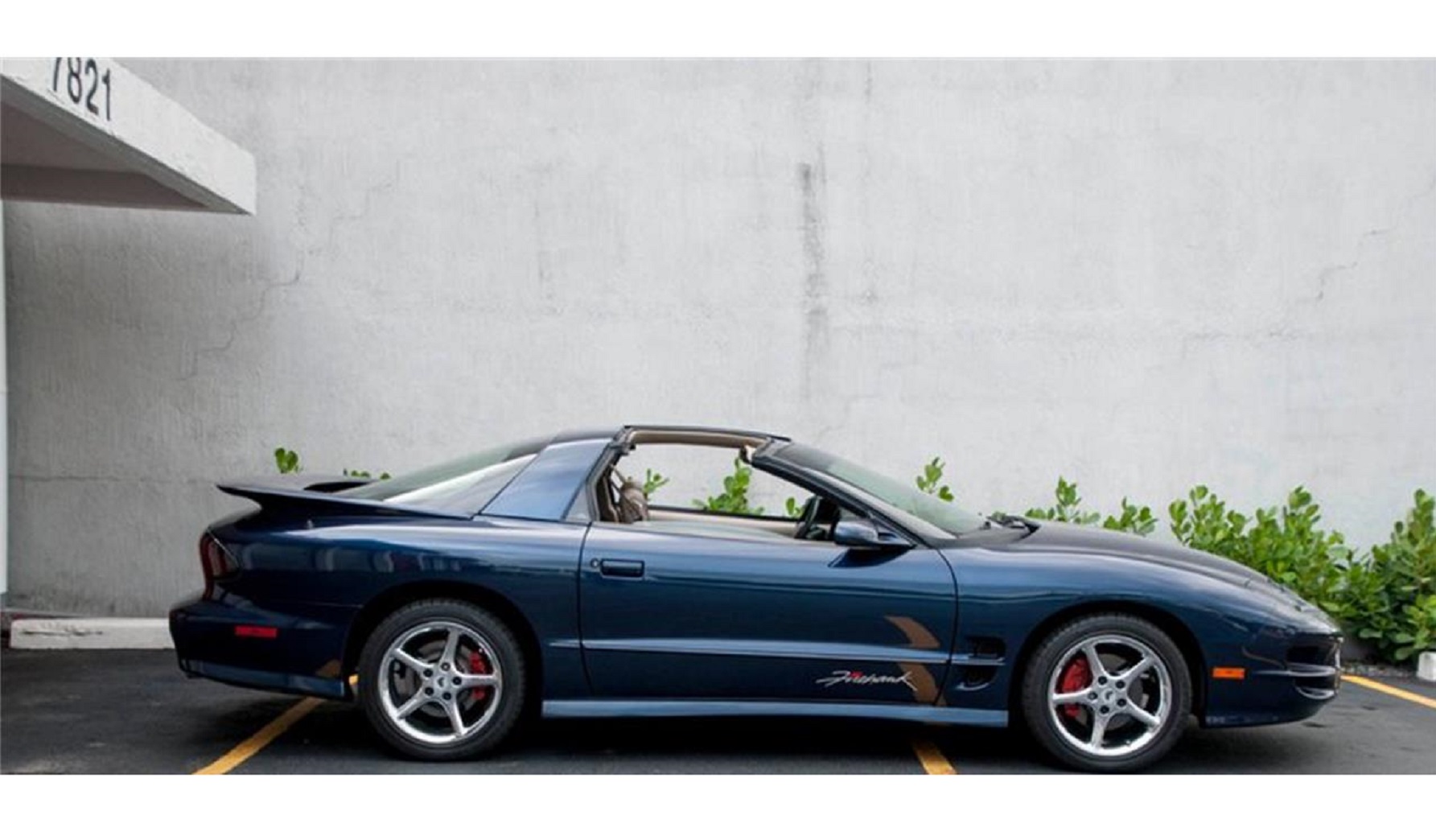 2002 pontiac firebird trans am firehawk
