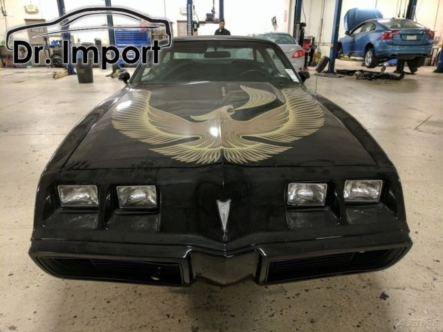 1981 pontiac firebird trans am coupe