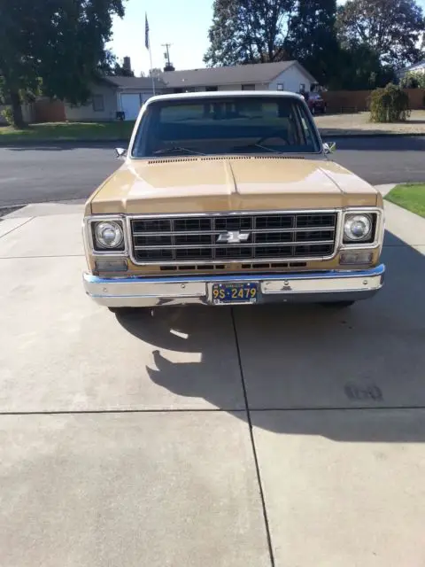 1978 chevrolet scottsdale pickup