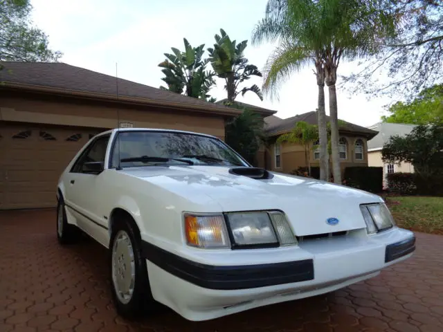 1986 ford mustang svo turbo 5sp hurst 3.73 traction lok 1/347 made immaculate!!