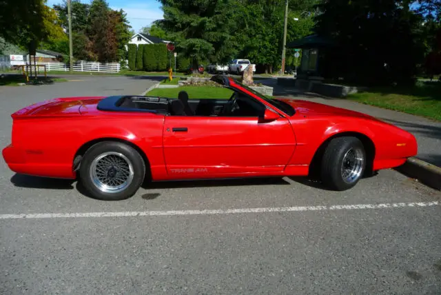 rare 91 convertible have documentation from gm only 555 made 81 for export