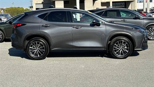 2024 Lexus NX