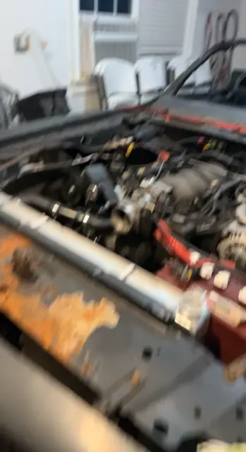 1981 trans am y84 ws6 ls1