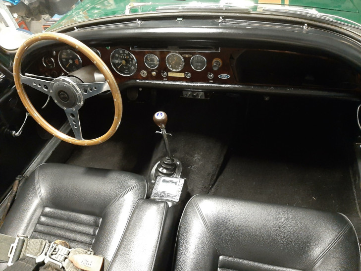sunbeam tiger