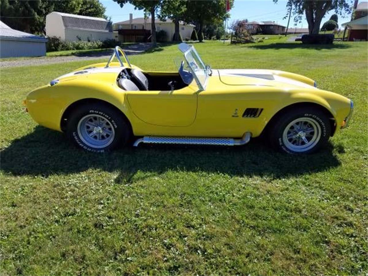 1966 shelby cobra