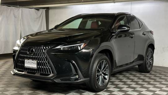 2025 Lexus NX