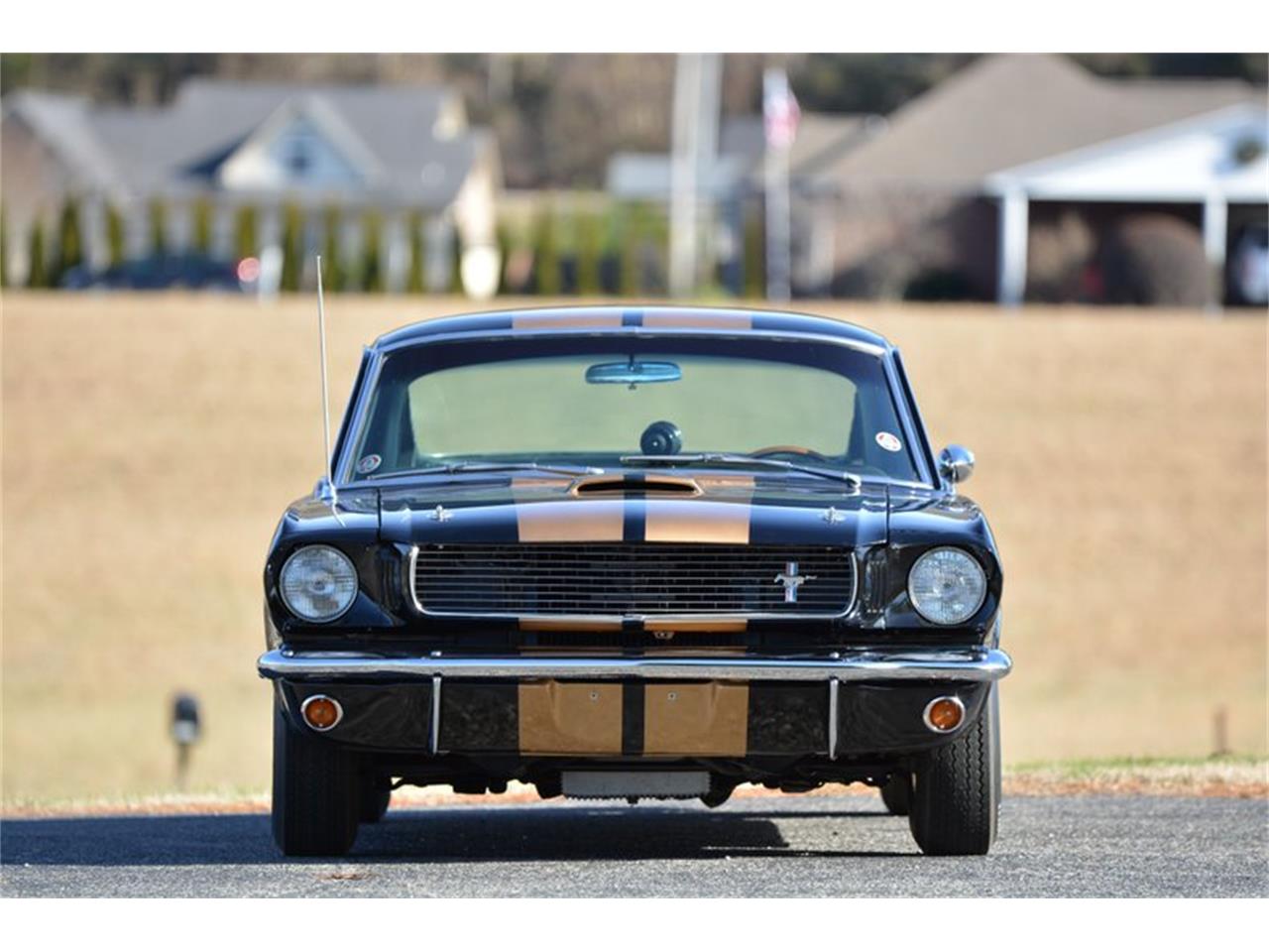 1966 shelby gt