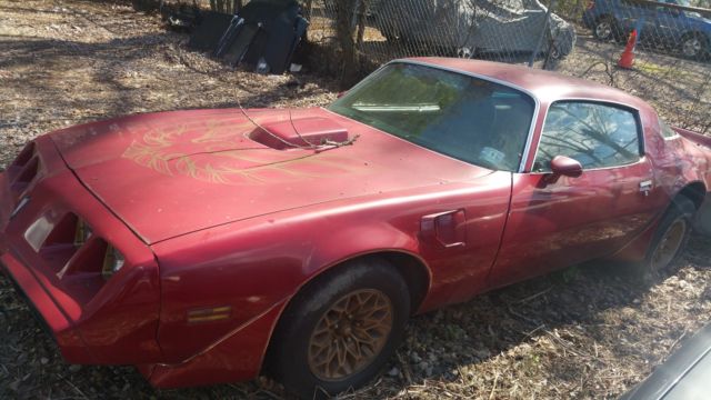 firebird, trans am