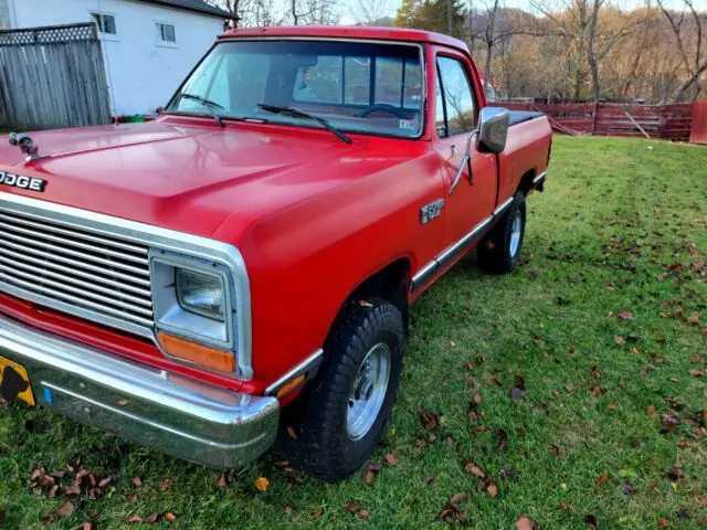 1987 dodge ram d100 pickup
