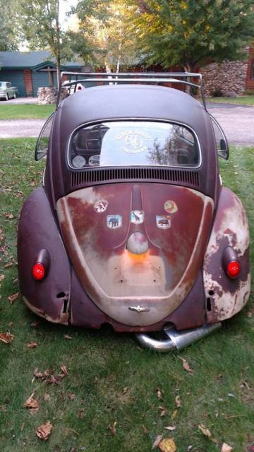 1959 volkswagon bug vw