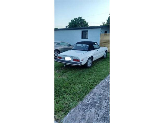 1978 alfa romeo spider in cadillac, michigan