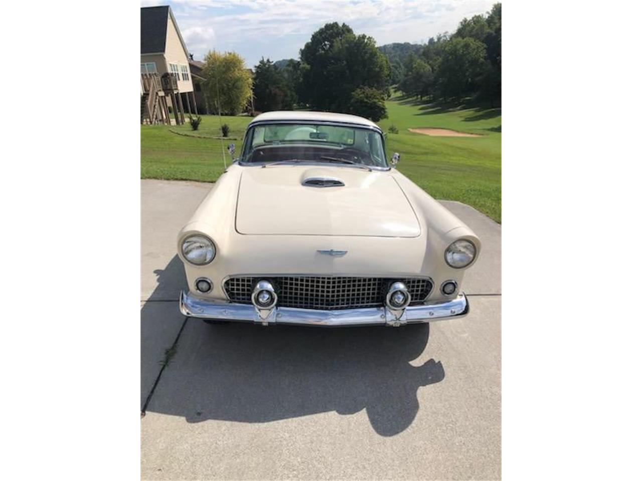 1956 ford thunderbird