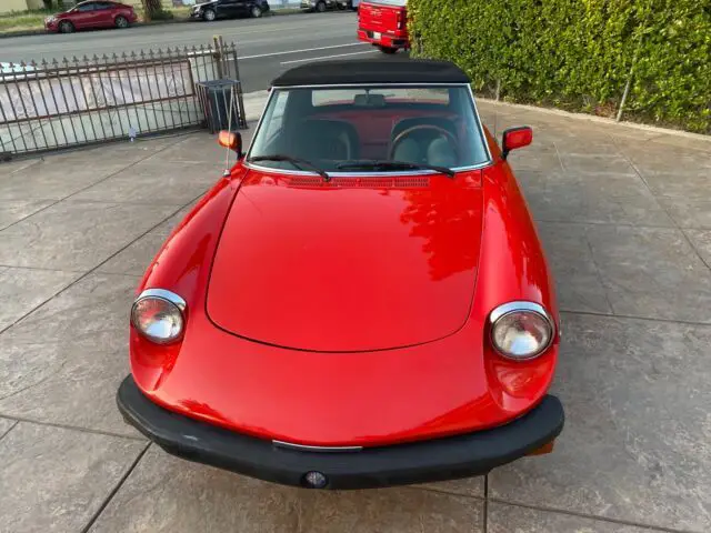 1977 alfa romeo 2000 convertible red rwd manual spider