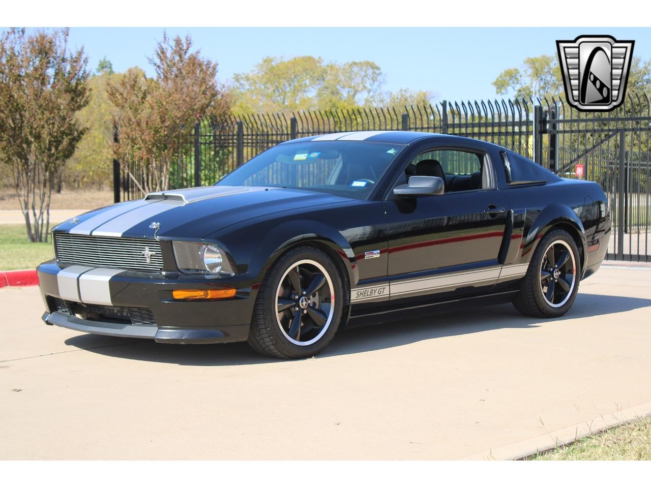 2007 shelby mustang