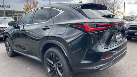 2024 Lexus NX