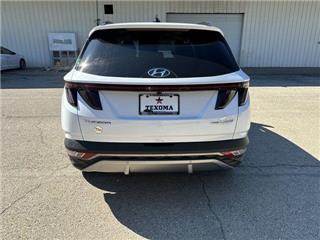 2024 Hyundai Tucson limited