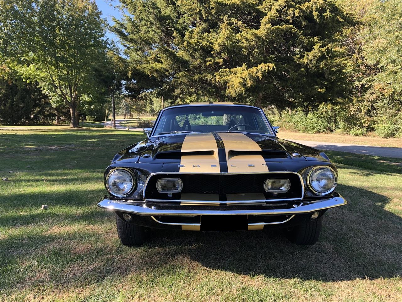 1968 shelby gt350