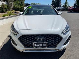 2019 Hyundai Sonata sel
