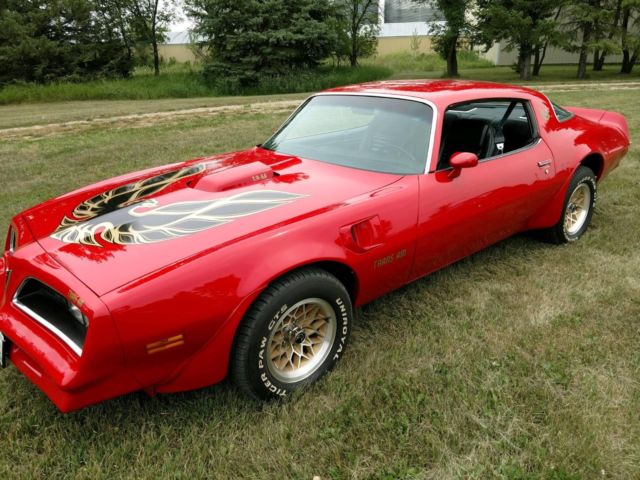 1978 pontiac trans am coupe