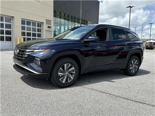 2024 Hyundai Tucson blue