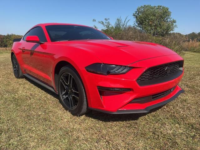 2023 ford mustang ecoboost