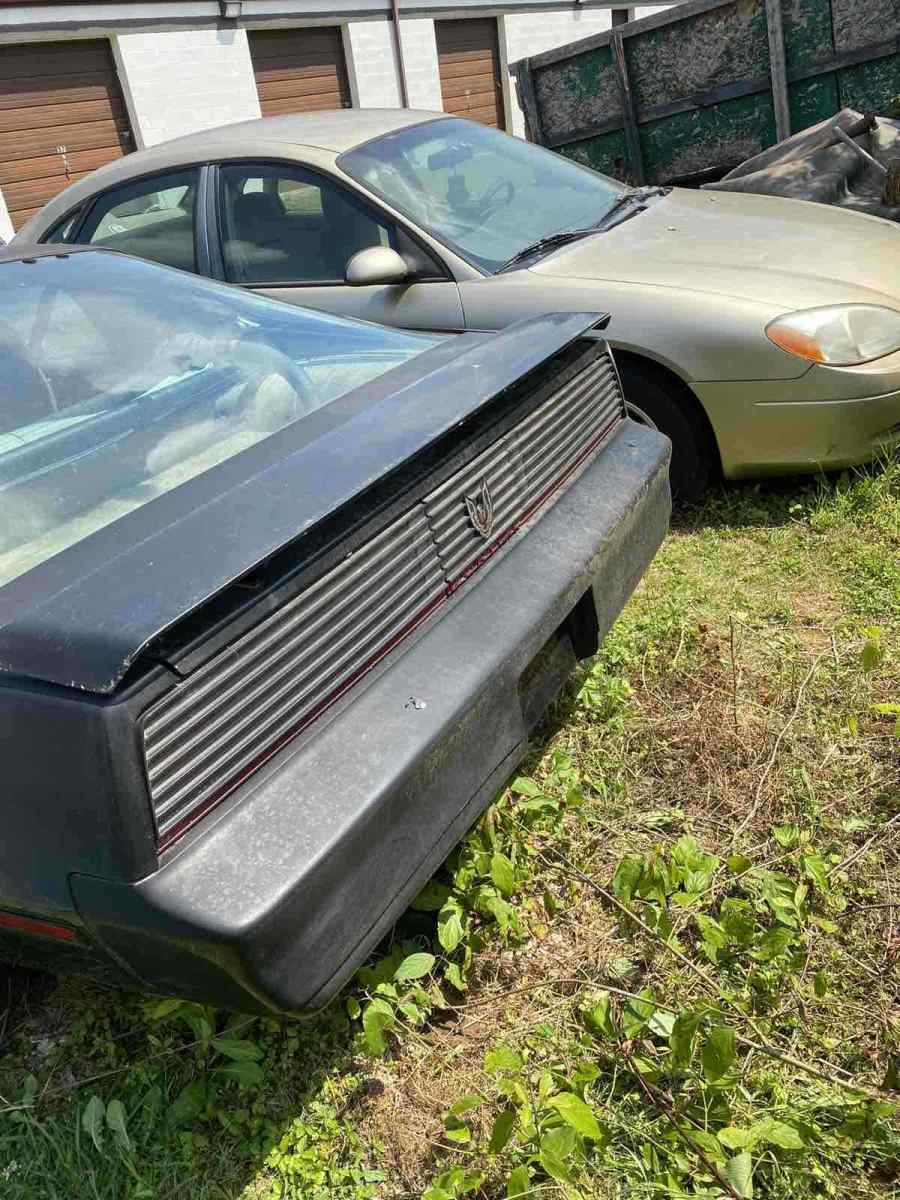 1982 pontiac firebird coupe black rwd manual trans am
