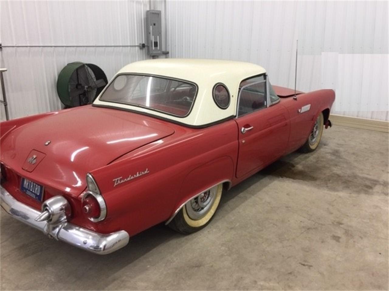 1955 ford thunderbird