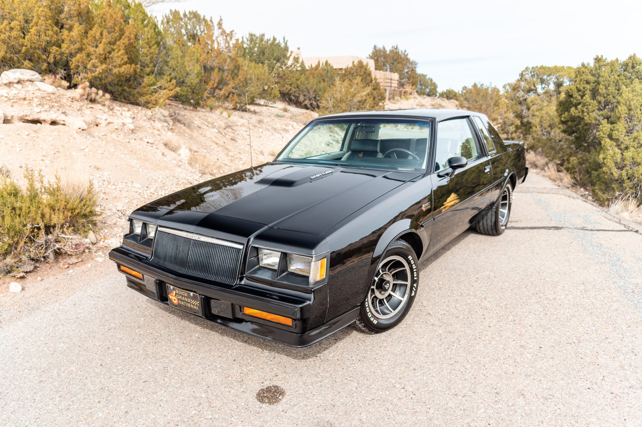 1984 buick grand national