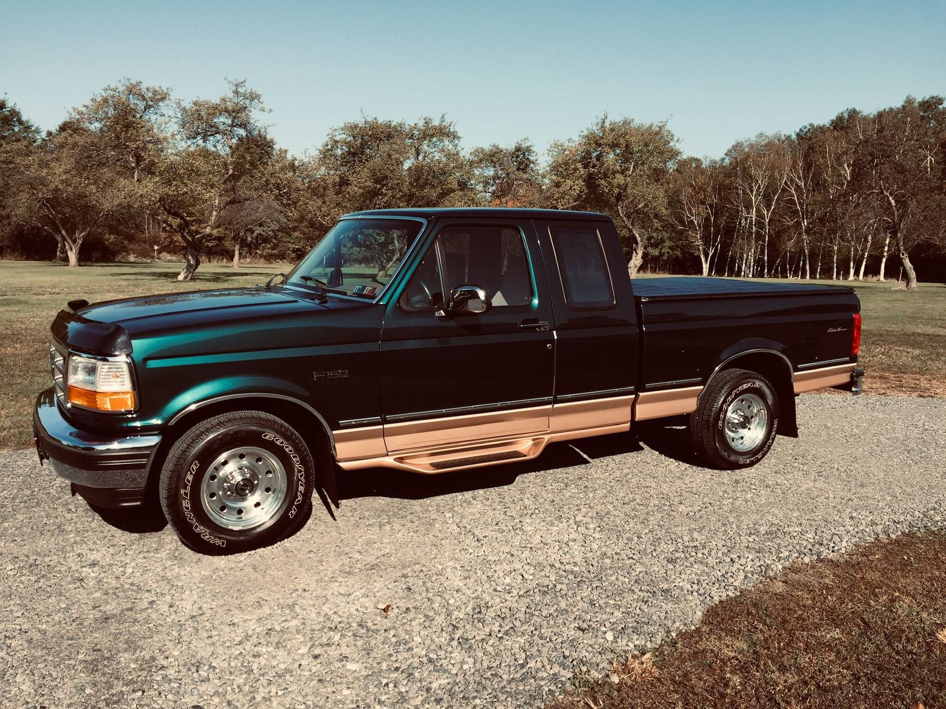 1995 ford f150 eddie bauer pickup