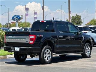 2021 Ford F-150 platinum